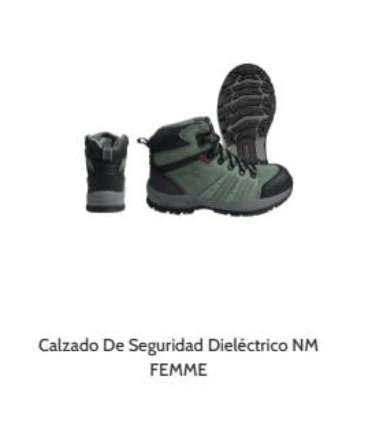 Zapatos Seguridad
